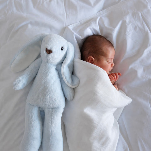 Le Doudou